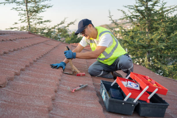 Best Roof Maintenance and Cleaning  in North Apollo, PA